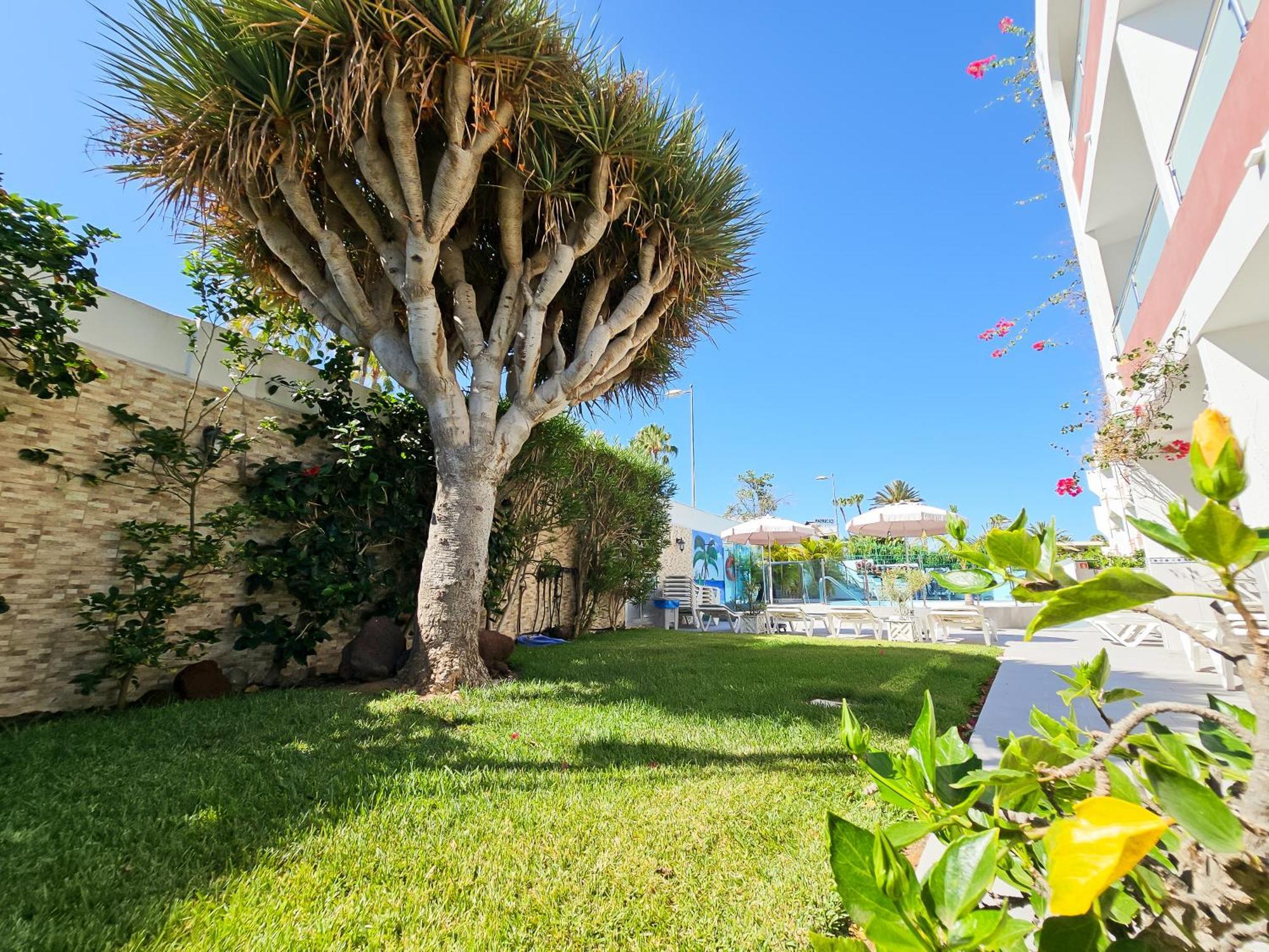 Apartamentos Bogota Playa del Ingles  Dış mekan fotoğraf